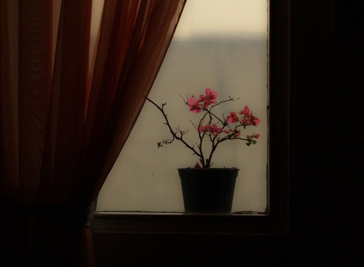 AGAR TAK MUDAH BINGUNG