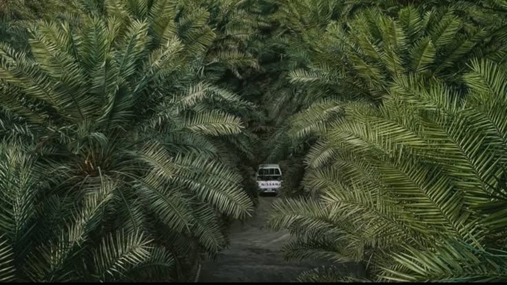 PANGGUNG KEMUNAFIKAN
