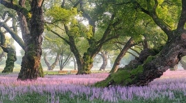 AKHIRNYA HARUS DIKEMBALIKAN