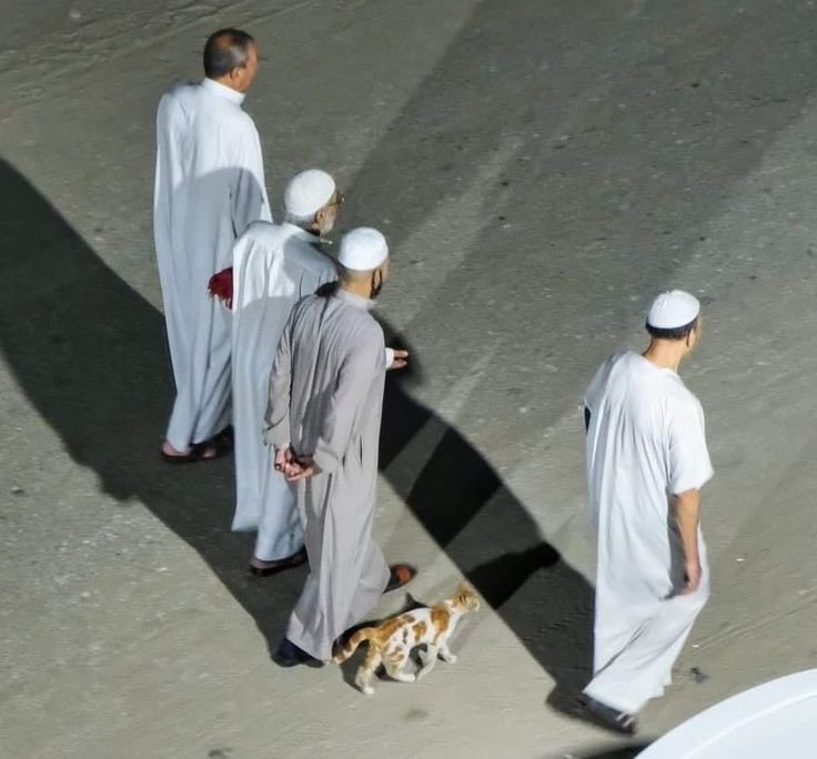 CARA MIKIR SEORANG HAMBA