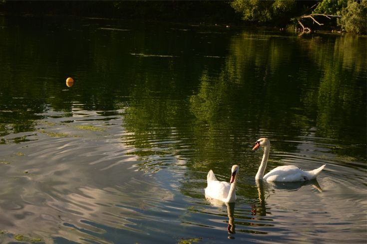 AGAR TAK JADI BUDAK NAFSU