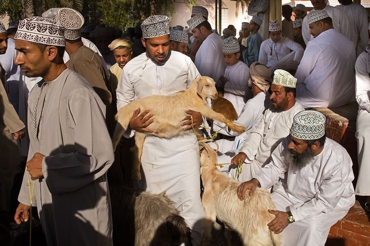 HARUS SAMPAI GEMETAR