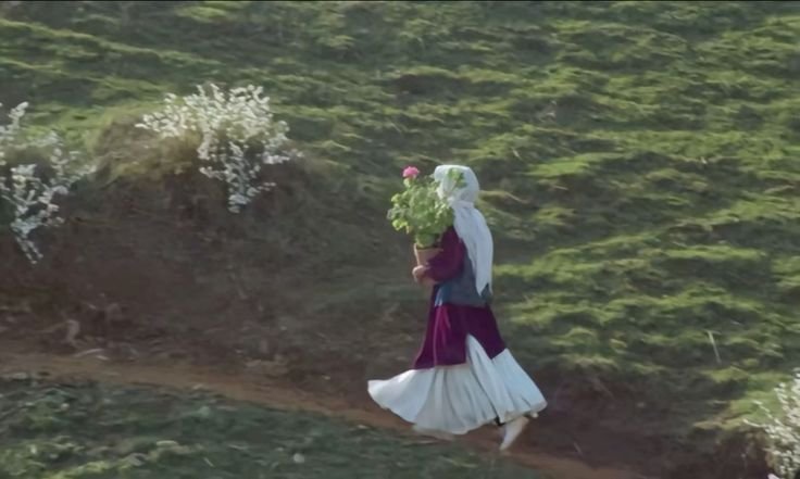 MEMAKSA TENANG DAN BAHAGIA