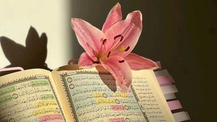 JANGAN TAKUT, SEMUA SUDAH ADA RUMUSNYA