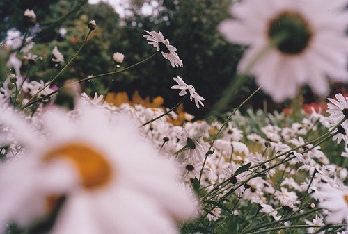 LATAH BERSYUKUR DAN SPONTAN TERSENYUM