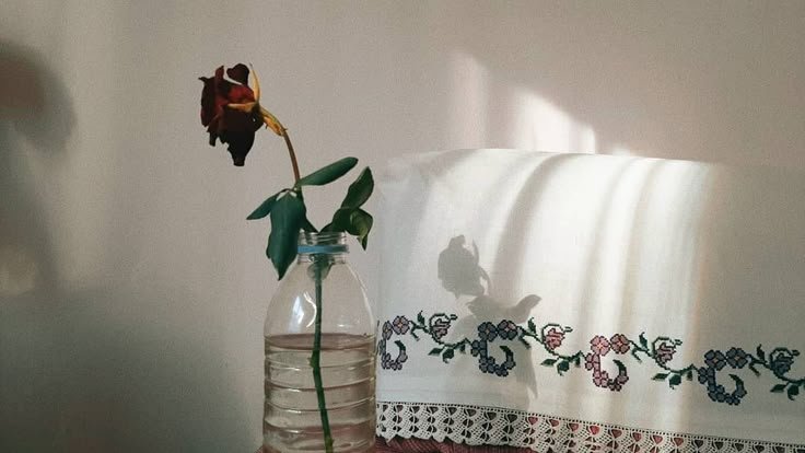 MINTA SATU DAPAT SEMUANYA