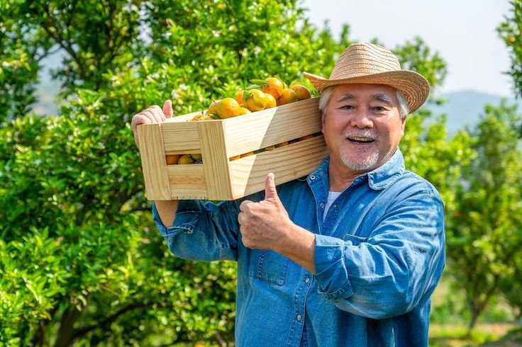 HANYA TENTANG PANEN DAN TANAM