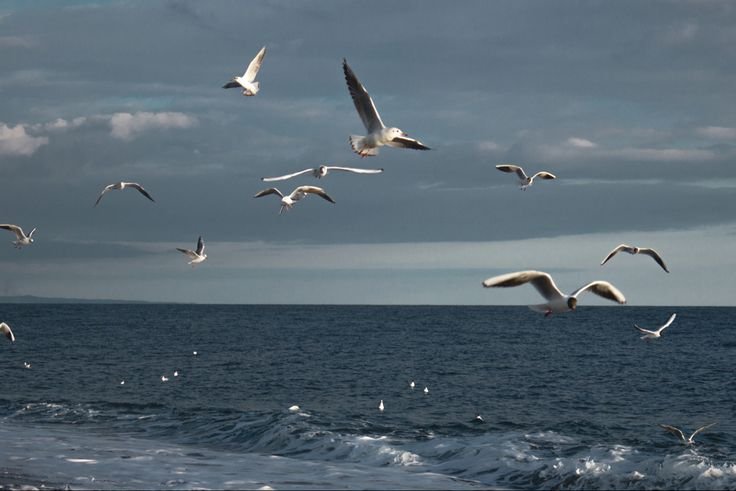 LAPANG HATI BIAR ALLOH BERI REZEKI