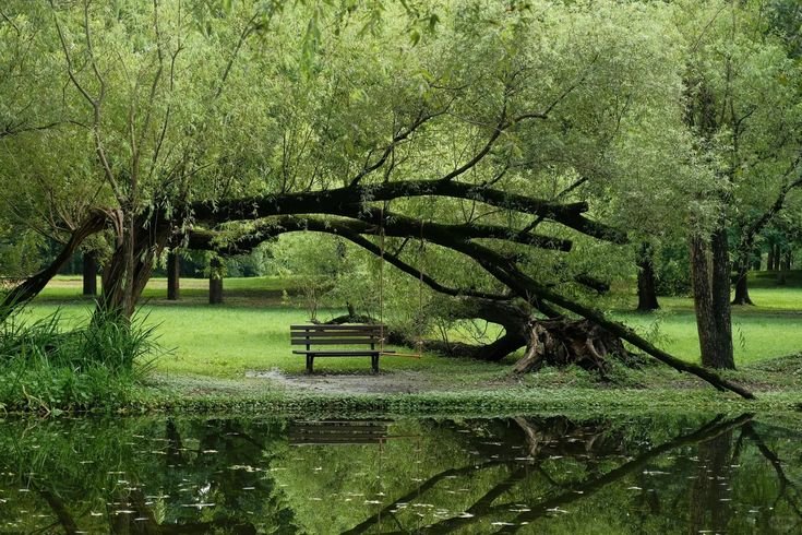 HIDUPLAH DENGAN KESANGGUPANMU