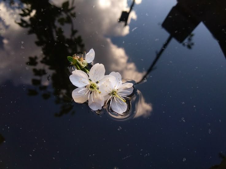 SEOLAH HIDUP INI HANYA UNTUK BELAJAR SABAR