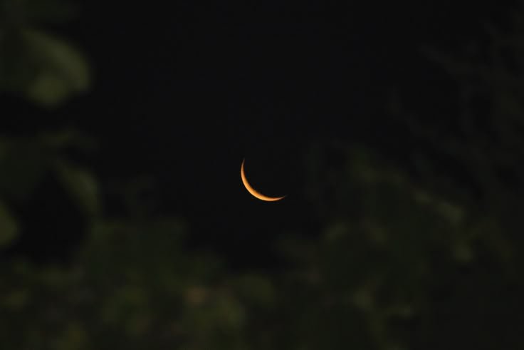 PERASAAN DI PENGHUJUNG SYA'BAN