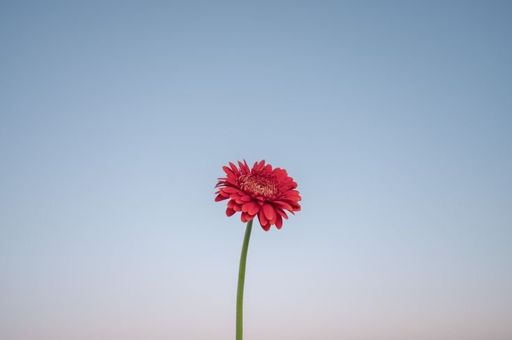 SENI MENJALANI HIDUP